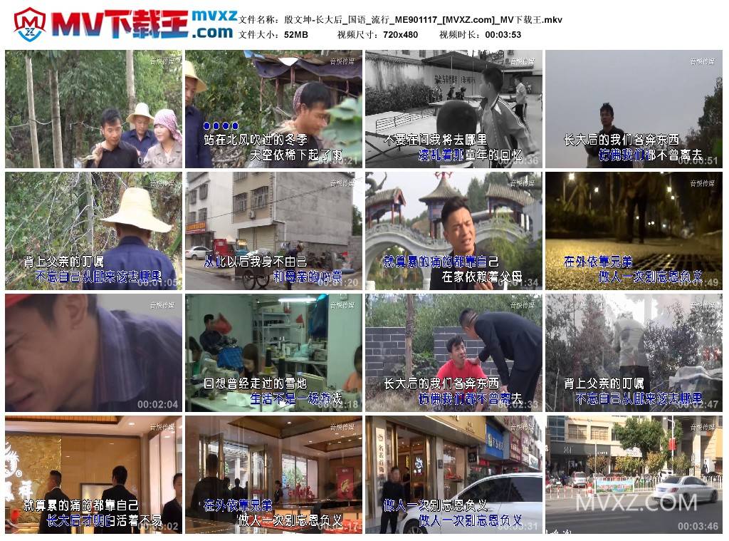 殷文坤-长大后_国语_流行_ME901117